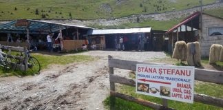 Lista cu produsele montane atestate în Gorj. Urmează tocanul de oaie!