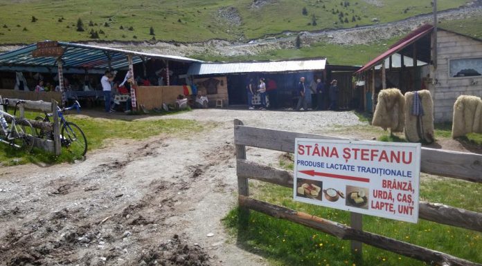 Lista cu produsele montane atestate în Gorj. Urmează tocanul de oaie!
