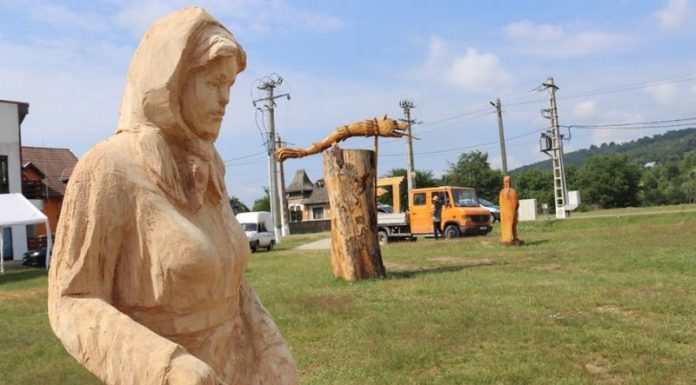 Tabăra de sculptură de la Polovragi a ajuns la final