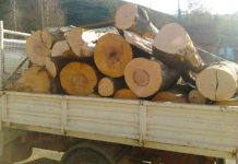 19 metri cubi de lemn, confiscați în urma unui control în trafic