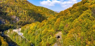 Lucrările din Parcul Național Defileul Jiului, în atenția președintelui Iohannis