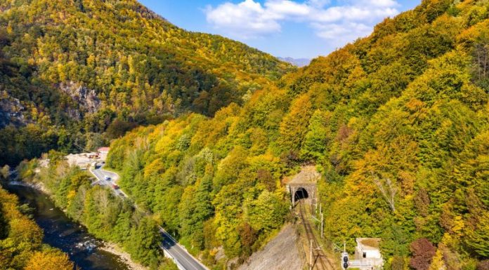 Lucrările din Parcul Național Defileul Jiului, în atenția președintelui Iohannis