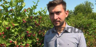 Mure gorjenești, în marile magazine din București, dar și în Occident!