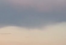 VIDEO: Pompierii au reuşit să salveze o lebădă prinsă în plasa unui pescar