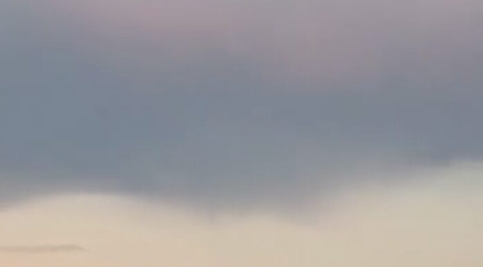 VIDEO: Pompierii au reuşit să salveze o lebădă prinsă în plasa unui pescar