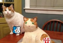 Suporterii Pandurilor contestă deciziile lui Sarcină