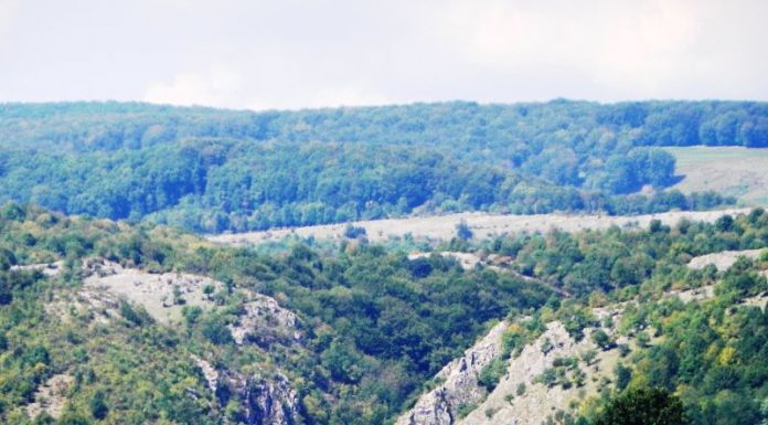 PARADISUL DE LÂNGĂ NOI