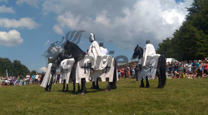 Ample manifestări, programate în Poiana lui Mihai