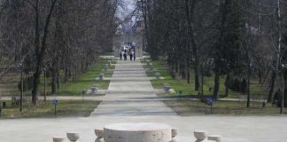 Noi date despre dosarul Brâncuși-UNESCO