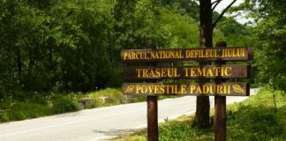 Parcurile naţionale, marcate de Romsilva. Semne specifice!