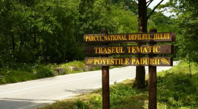 Parcurile naţionale, marcate de Romsilva. Semne specifice!