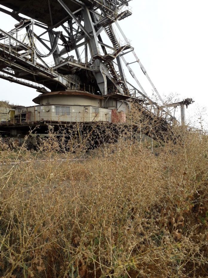 69360554_346795062875624_5531733958158450688_n