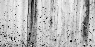 Astăzi debutează ,,Atelierele Brâncuși”! Deschiderea, la Curtișoara!