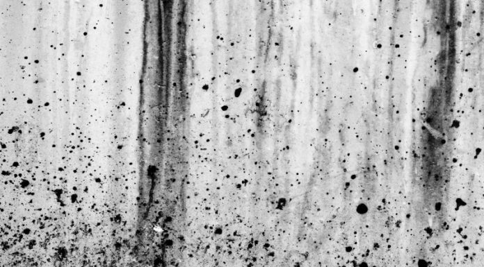 Astăzi debutează ,,Atelierele Brâncuși”! Deschiderea, la Curtișoara!