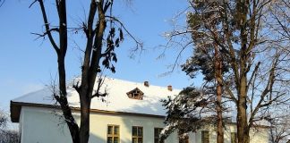 LEGENDELE GORJULUI – ARCANI – (I)