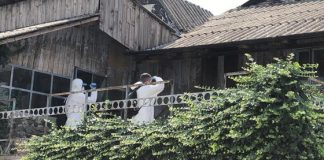 REFLECȚII DIN EXTERIORUL FRONTULUI (II)