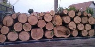 Material lemnos, confiscat de polițiști