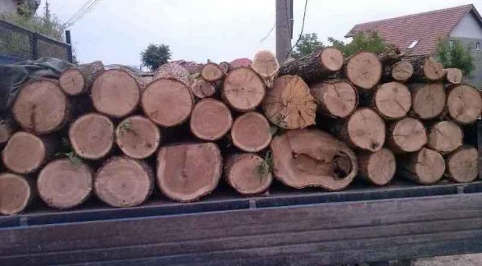 Preţul lemnelor de foc în Gorj