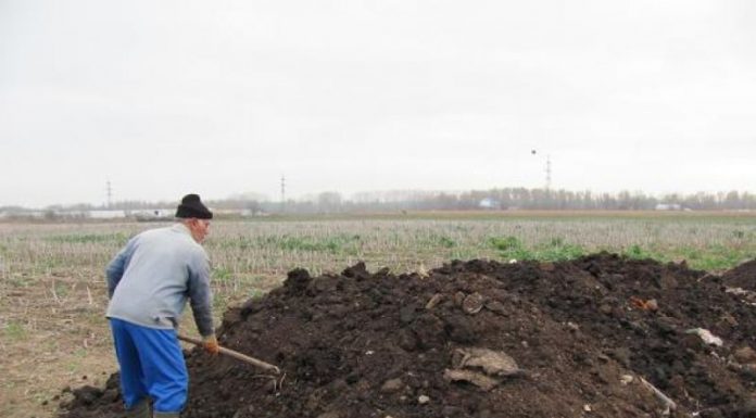 Agricultura pe înțelesul tuturor – Gunoiul de grajd – o comoară a fermierilor