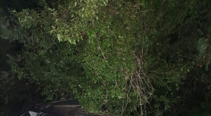 FOTO: Accident la Licurici, provocat de un tânăr care nu avea voie să urce la volan