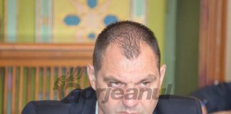 Maioreanu pierde o funcție pentru un vicepreședinte ALDE
