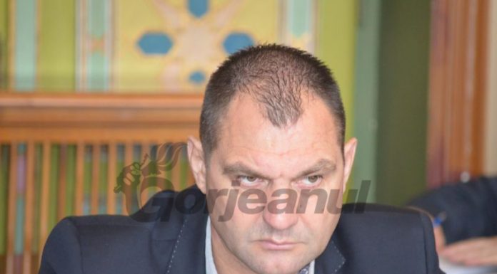 Maioreanu pierde o funcție pentru un vicepreședinte ALDE