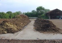 Agricultura pe înțelesul tuturor – Gunoiul de grajd – o comoară a fermierilor (I)