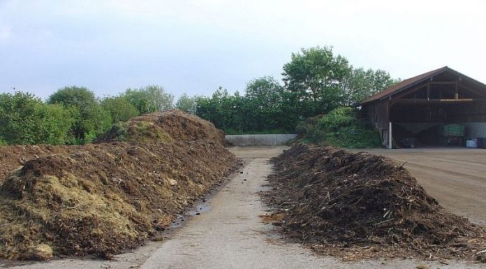 Agricultura pe înțelesul tuturor – Gunoiul de grajd – o comoară a fermierilor (I)