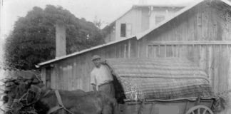 LEGENDELE GORJULUI – Capitolul I – Orașul Bumbești-Jiu (Partea a II-a) – (III)