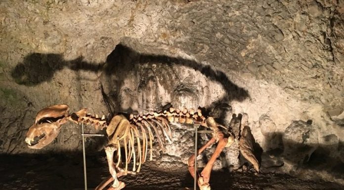 LEGENDELE GORJULUI – Baia de Fier – Peștera Muierii (II)