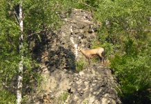 Controale în ariile protejate din Gorj. Amenzi!