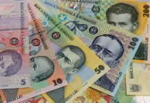 Amendă uriaşă pentru o firmă din Gorj