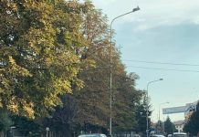 Circulaţie pe două sensuri pe str. Geneva