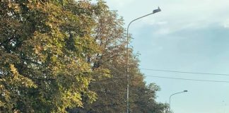 Circulaţie pe două sensuri pe str. Geneva