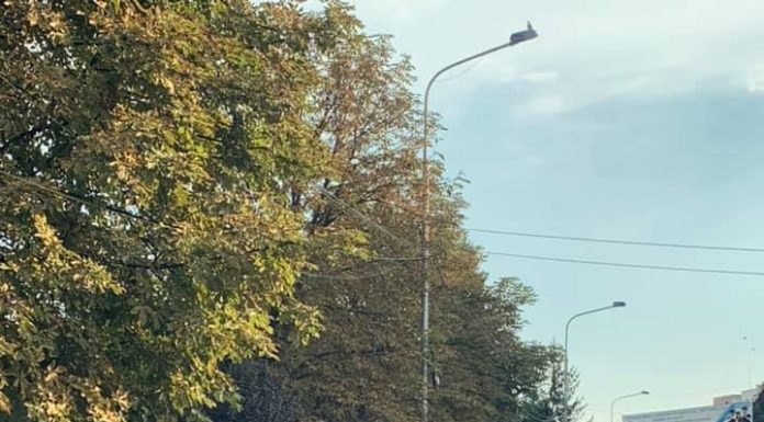 Circulaţie pe două sensuri pe str. Geneva