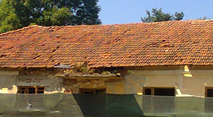 Depopularea mediului rural din Gorj: studiu de caz în Comuna Godineşti