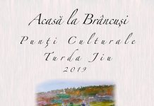Punți culturale la Târgu-Jiu