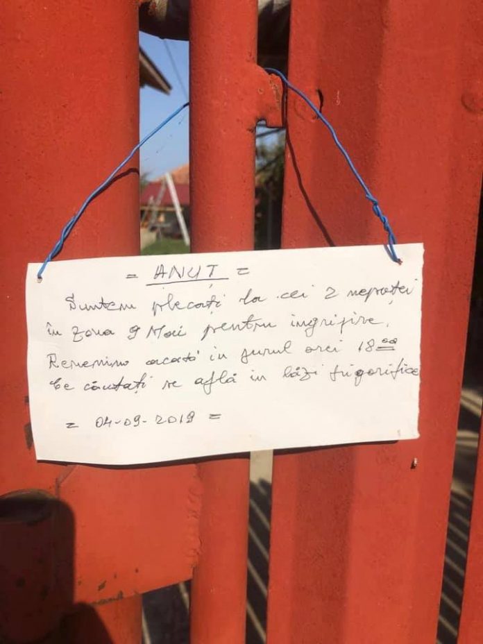 69700021_500263750788967_871916788160397312_n