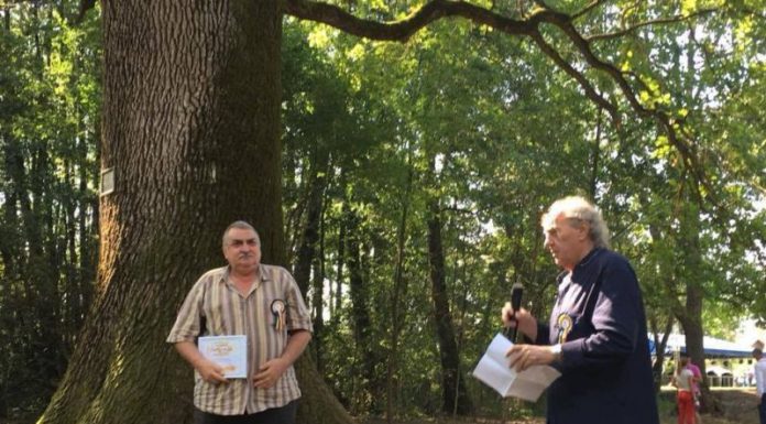 Începe Atelierul național de Poezie și Critică a Poeziei ,,Serile la Brădiceni”, ediția a XXIII-a