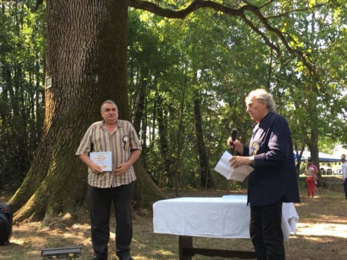 69991670_454843081781492_3326270497930346496_n