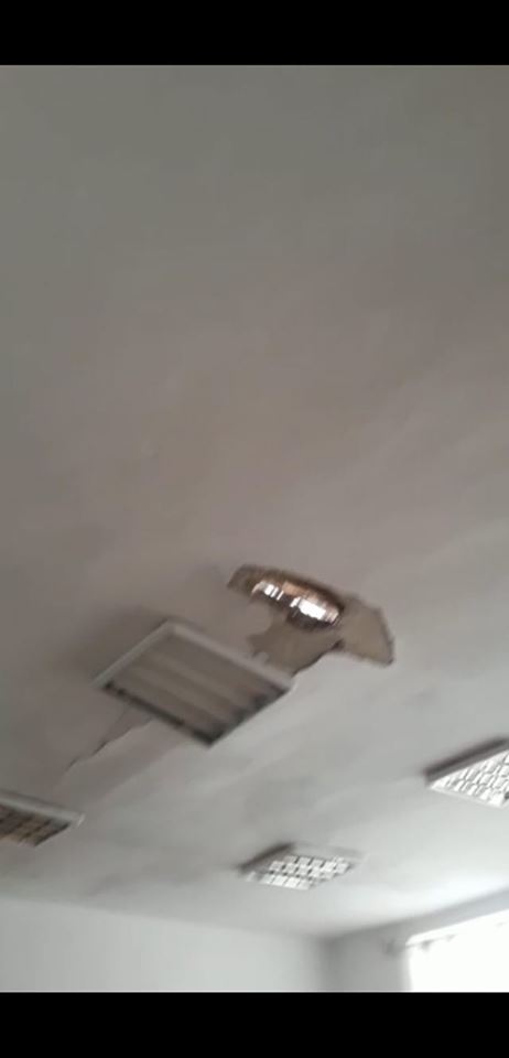 70167119_10220201063874472_4113331088942694400_n