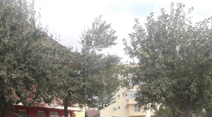 Mașina unui tânăr din Rovinari, indisponibilizată! Este acuzat că transporta ilegal persoane