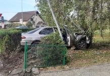 Șofer din Vâlcea, amendat după ce a intrat cu mașina într-un copac din Parcul ,,Coloana Infinitului”