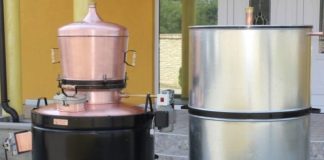 Bărbați din Olt și Teleorman, în arestul IPJ Gorj, după ce au păcălit un bătrân