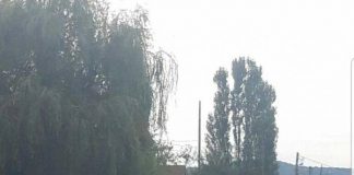 Tată și fiică, răniți în accident la Plopșoru