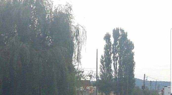 Tată și fiică, răniți în accident la Plopșoru