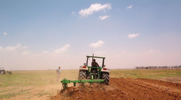 Agricultura pe înțelesul tuturor – Înființarea culturilor de toamnă