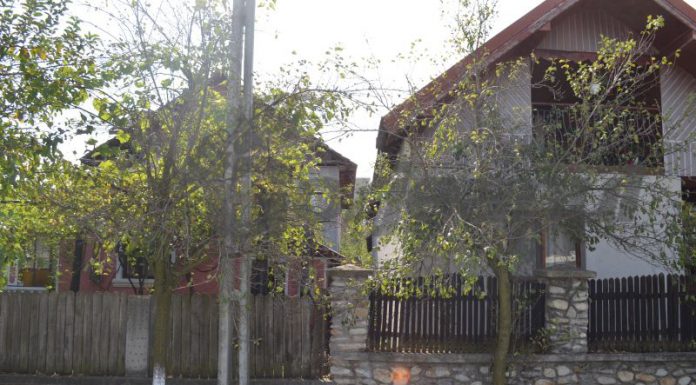 De șase ani – Distanța dintre două case, mărul discordiei între doi vecini din Fărcășești!