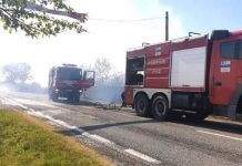 Incendiu de vegetaţie scăpat de sub control la Câmpu Mare! Flăcările au cuprins o casă