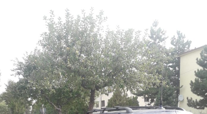 FOTO: Un tânăr din Rovinari a rămas fără mașină! Descoperirea făcută de polițiști